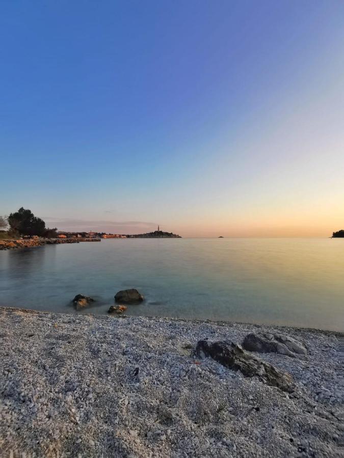 Mobile Home More Porton Nature Hideouts โรวีน ภายนอก รูปภาพ