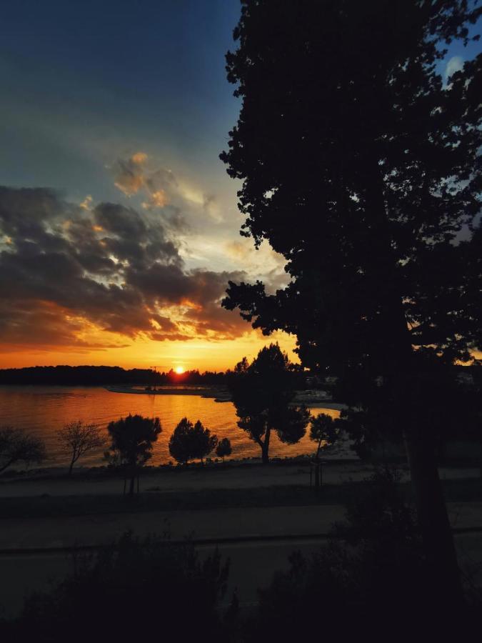 Mobile Home More Porton Nature Hideouts โรวีน ภายนอก รูปภาพ