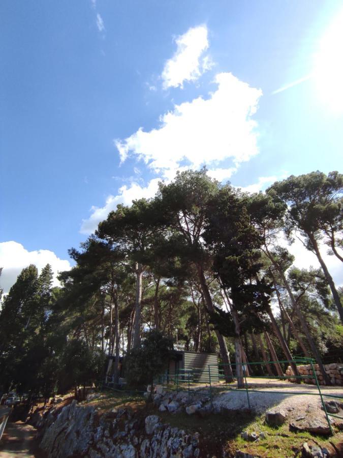 Mobile Home More Porton Nature Hideouts โรวีน ภายนอก รูปภาพ