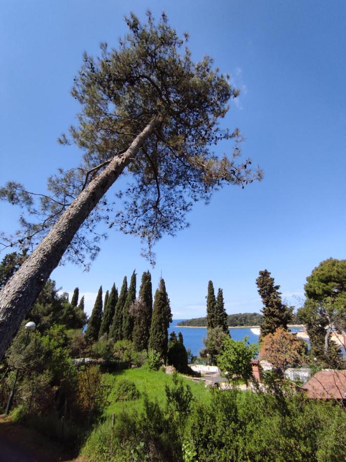 Mobile Home More Porton Nature Hideouts โรวีน ภายนอก รูปภาพ