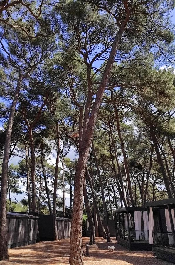 Mobile Home More Porton Nature Hideouts โรวีน ภายนอก รูปภาพ