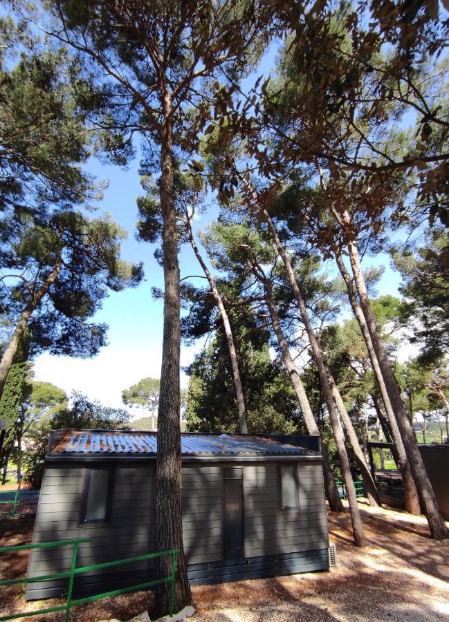Mobile Home More Porton Nature Hideouts โรวีน ภายนอก รูปภาพ